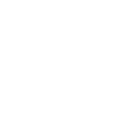 selectedIcon
